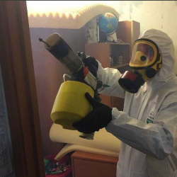 Уничтожение клопов в квартире. Бабушкинский район